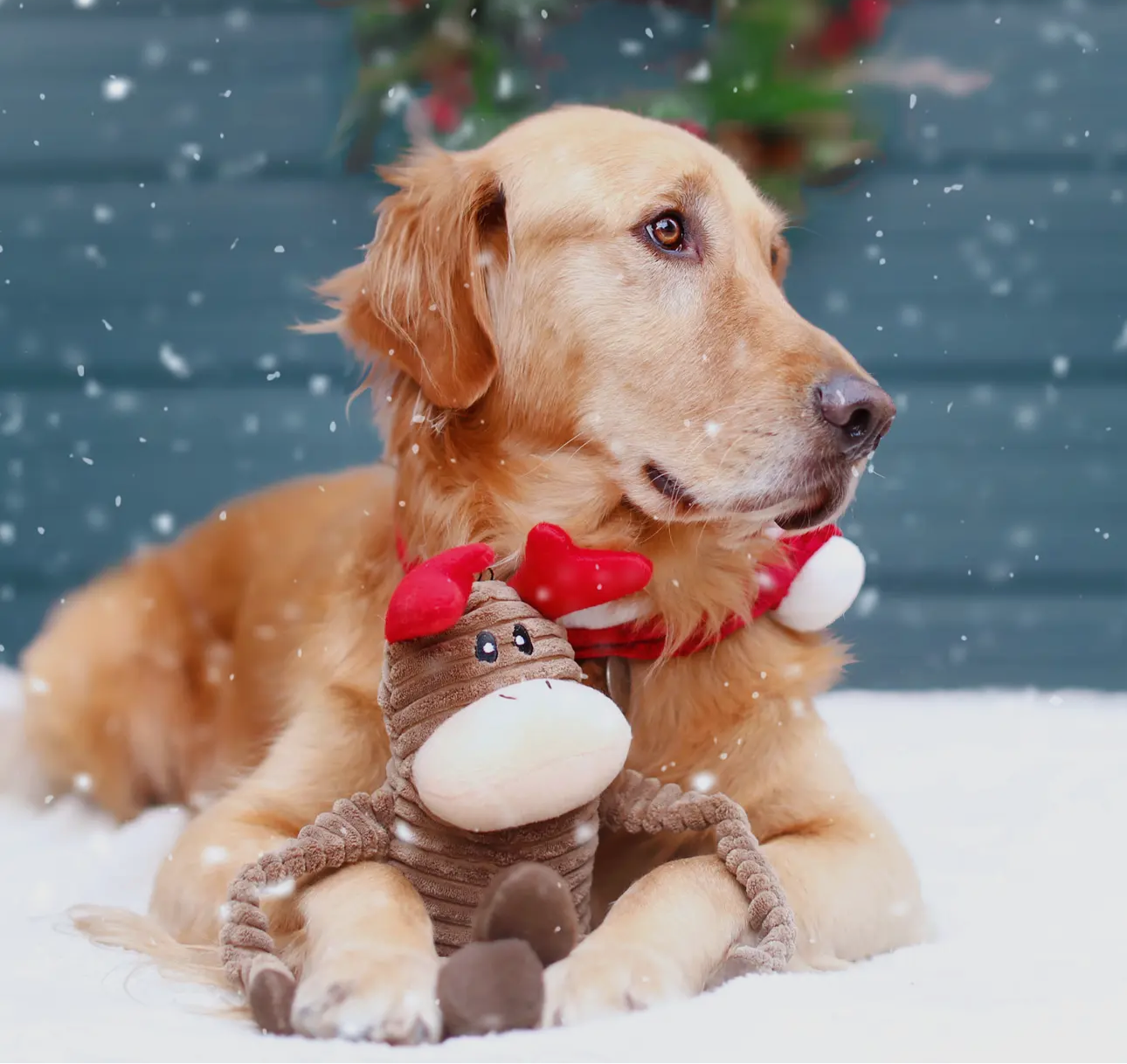 Zippypaws Holiday Crinkle Reindeer (Large)