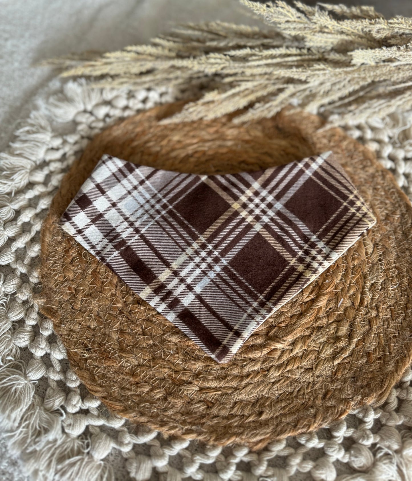 Dog Adventures Camping Bandana