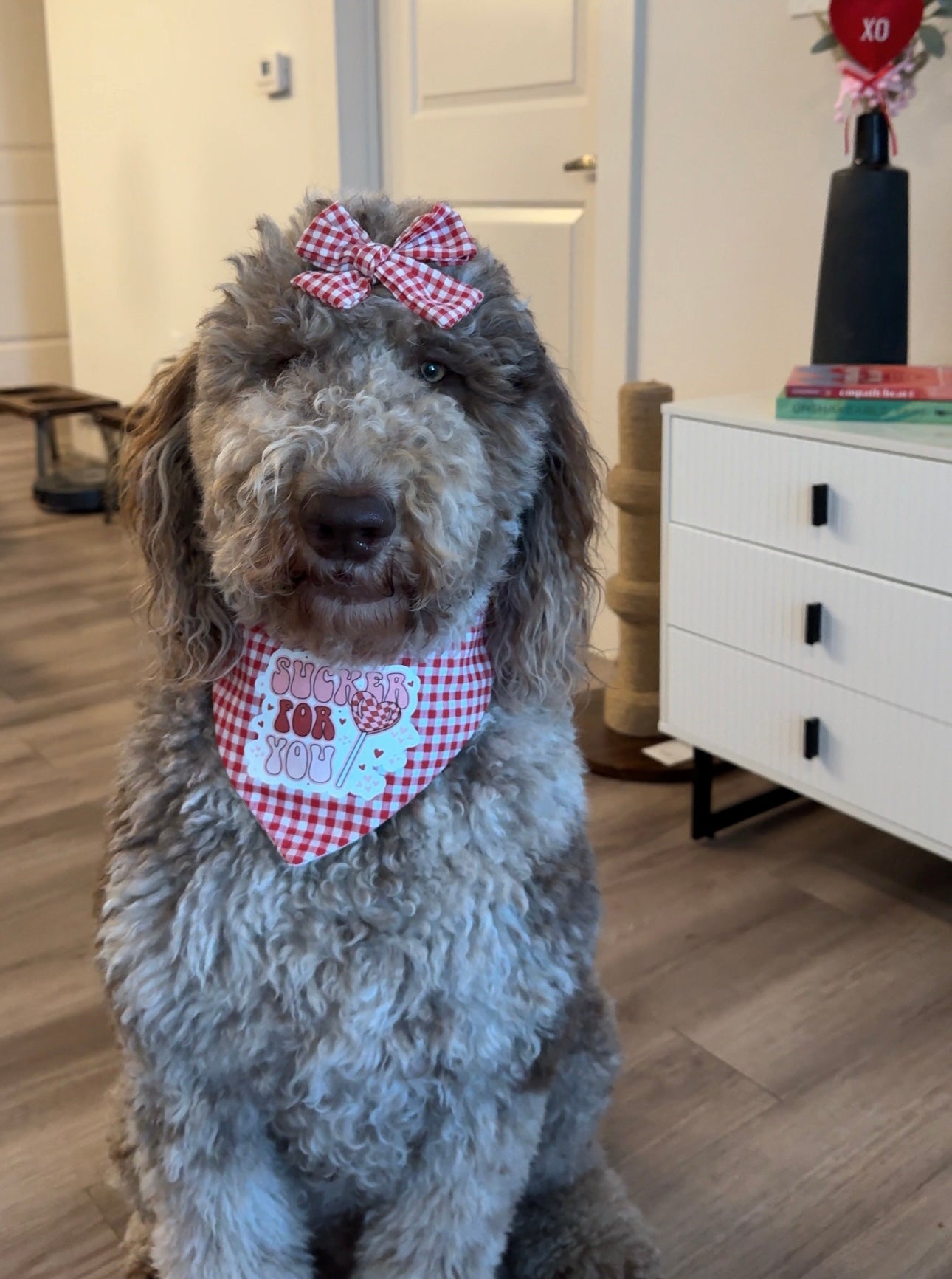 Sucker For You Bandana