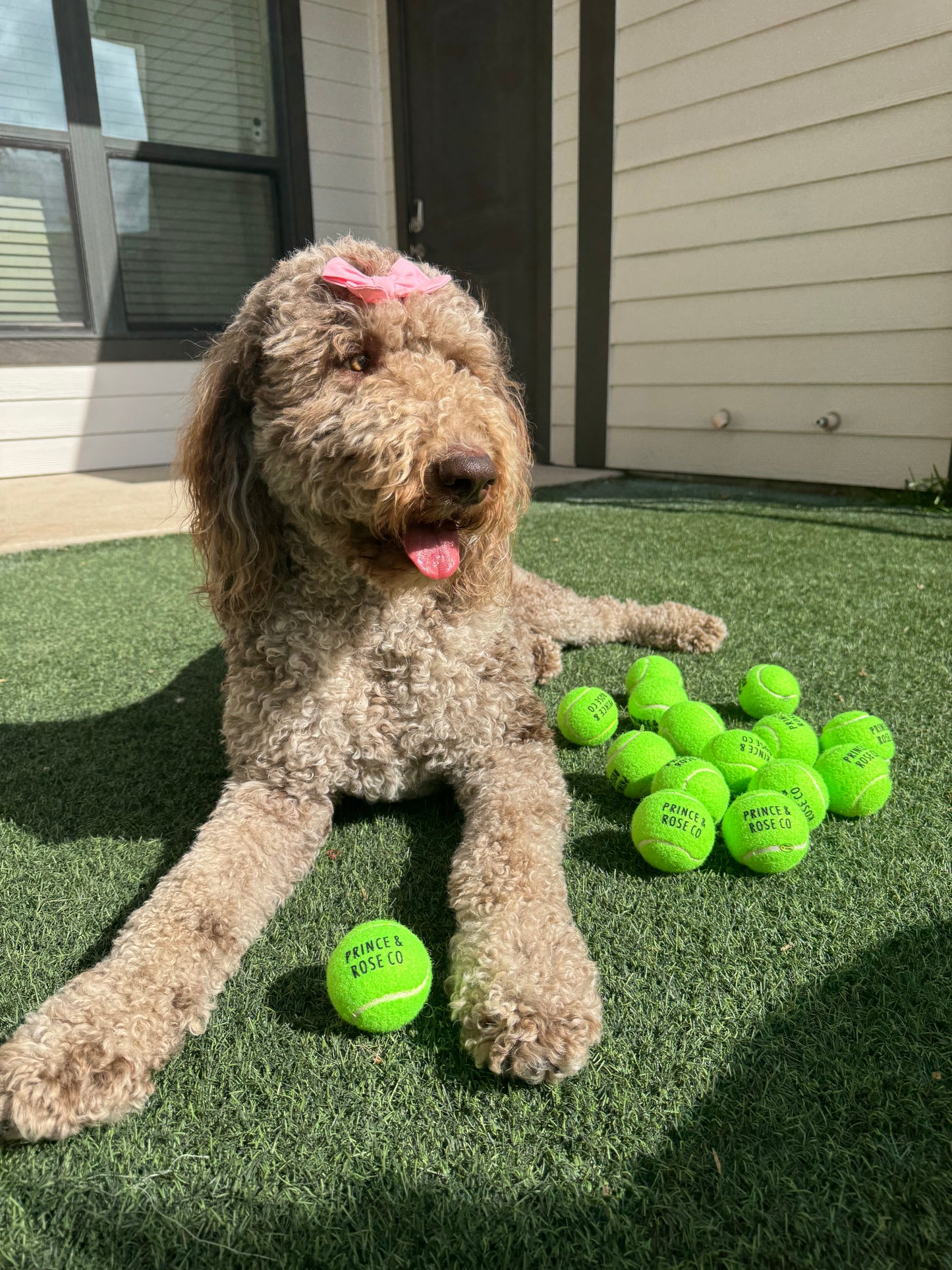 P&R Tennis Ball