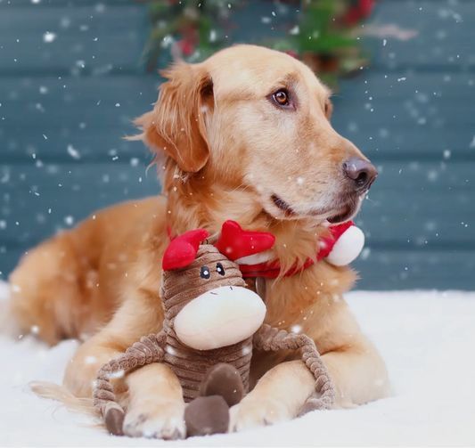 Zippypaws Holiday Crinkle Reindeer (Large)