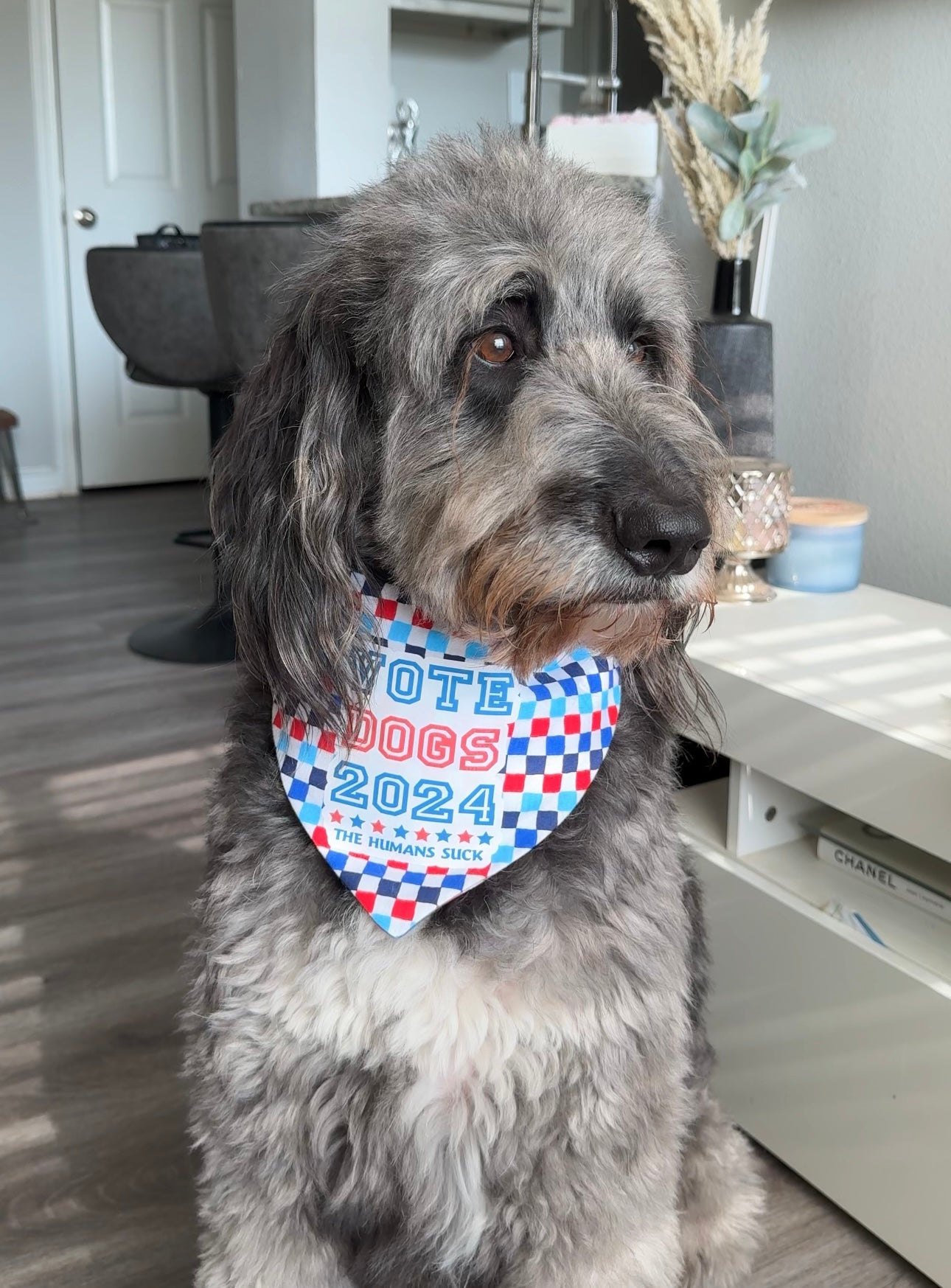 Vote Dogs 2024 Bandana