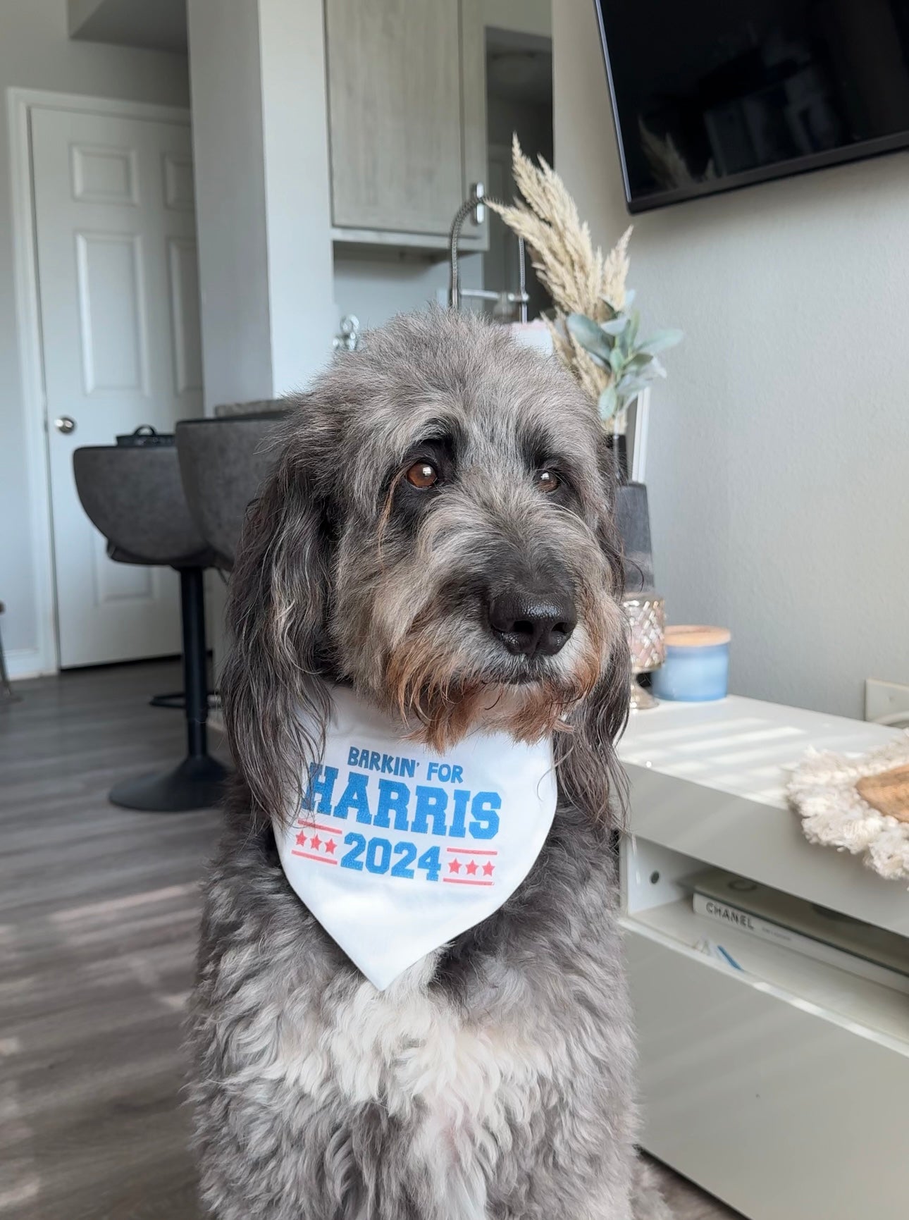 Barkin' for Harris Bandana