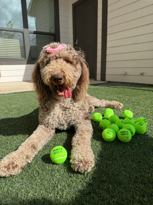P&R Tennis Ball
