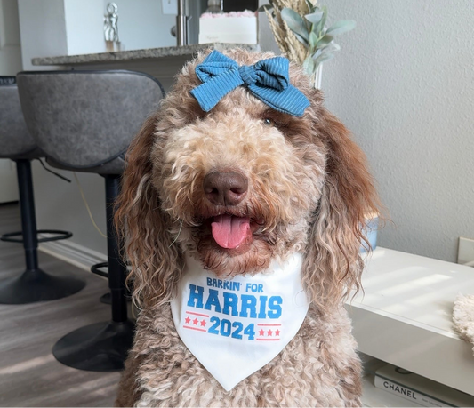 Barkin' for Harris Bandana