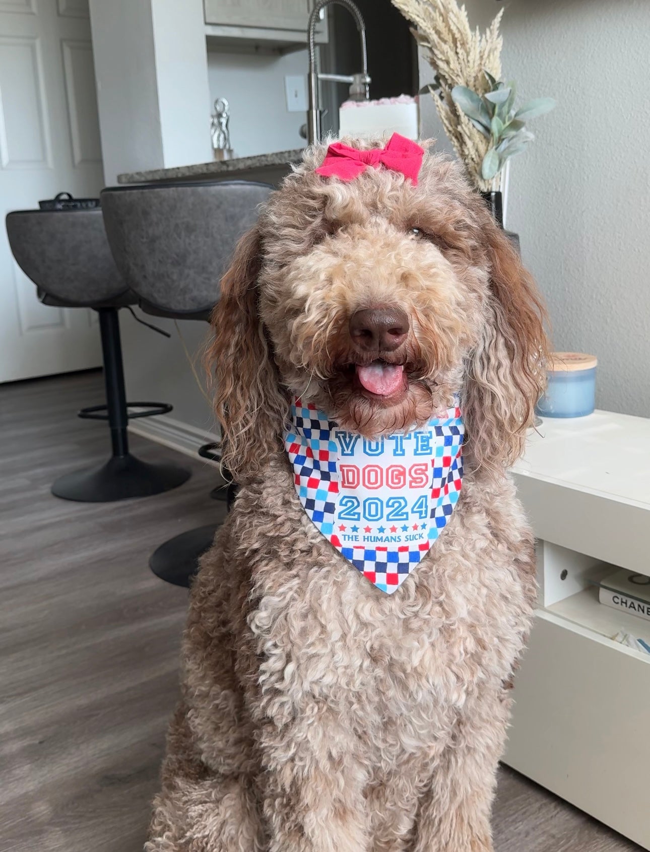 Vote Dogs 2024 Bandana