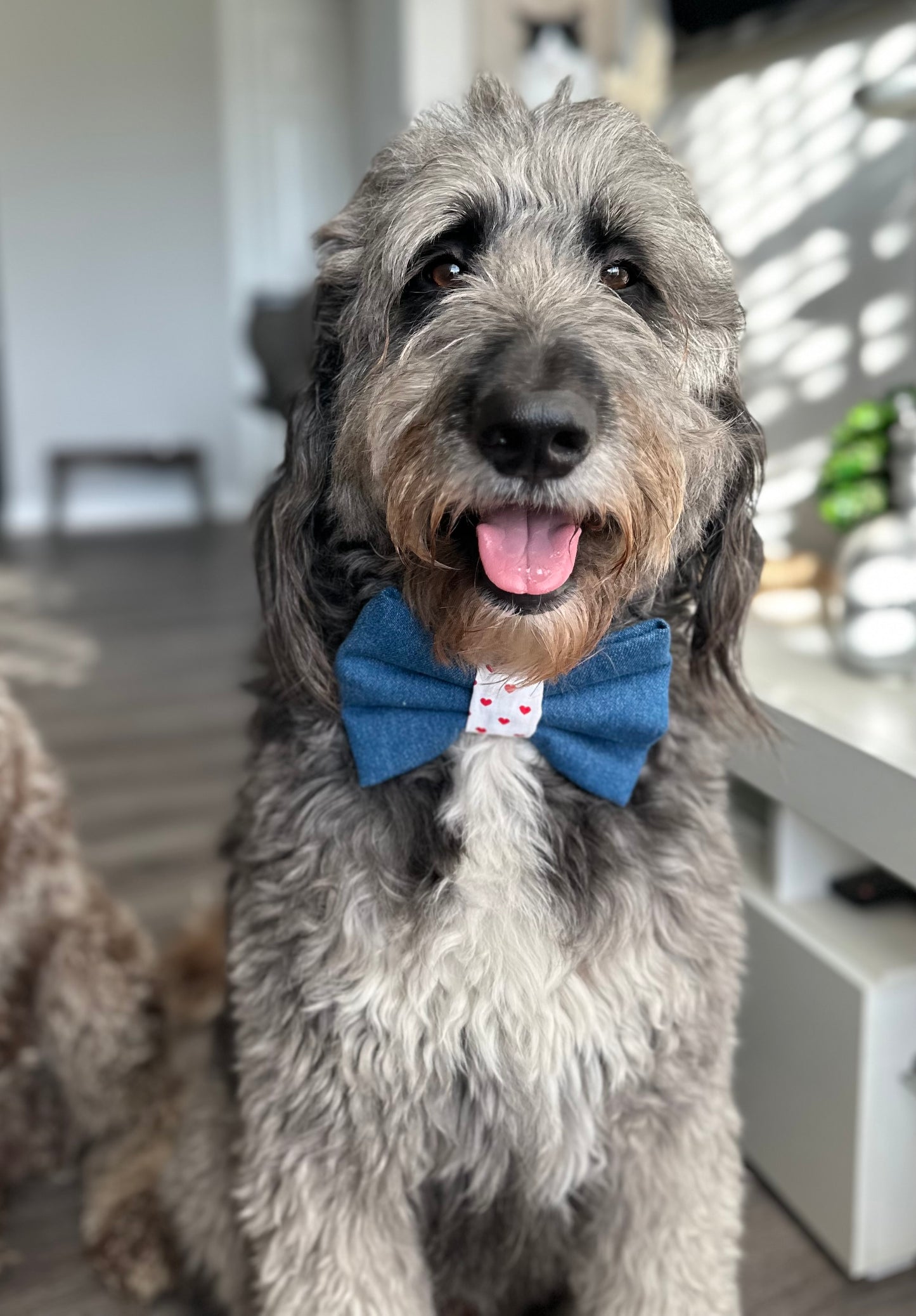 Denim Lover Bow Tie