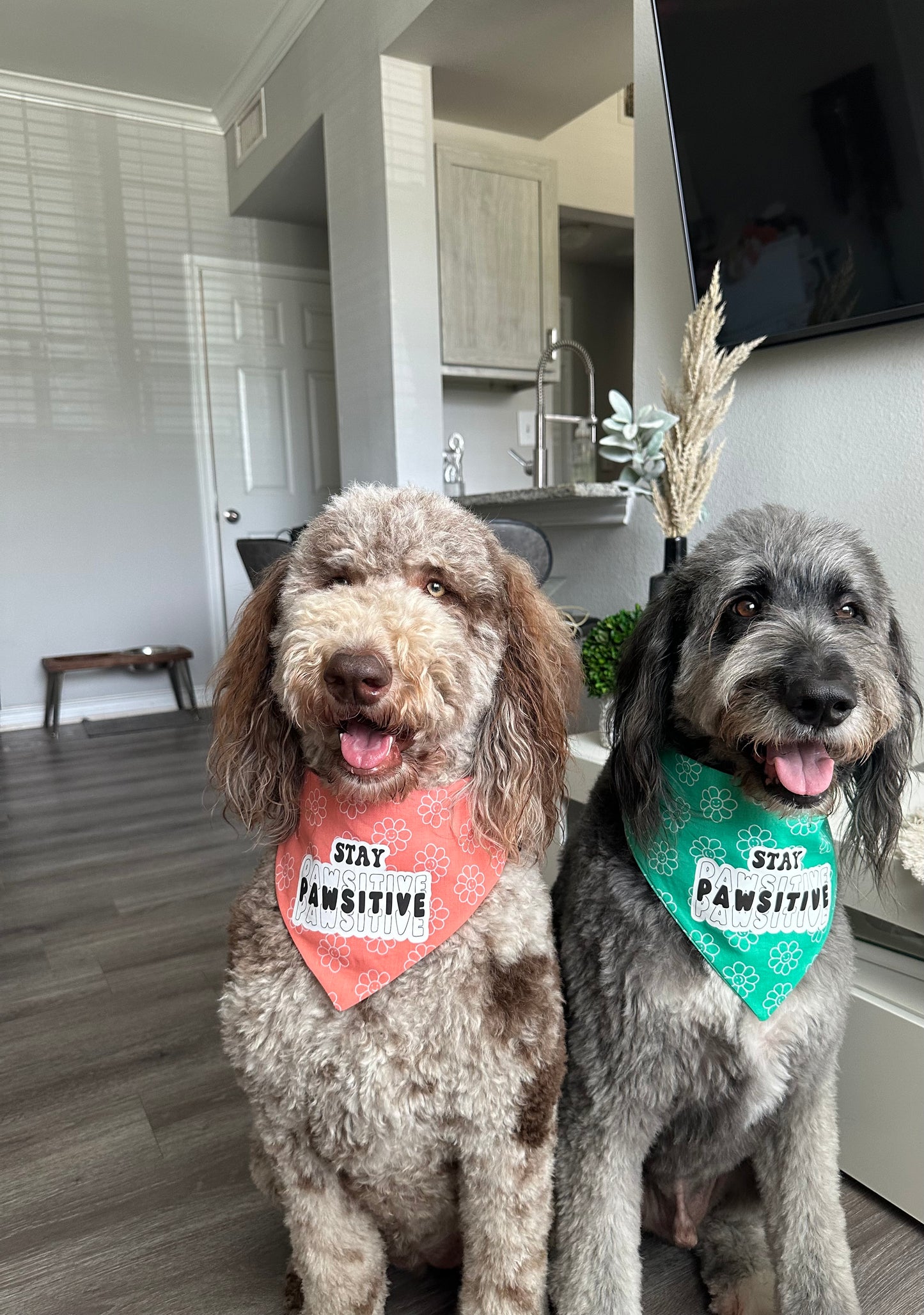 Stay Pawsitive Bandana (Peach)