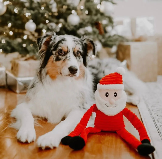 Zippypaws Holiday Crinkle Santa (Large)