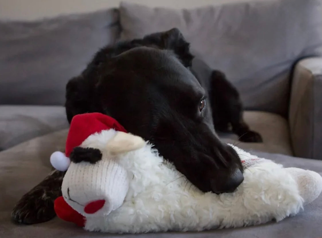 Multipet Holiday Lamb Chop w/Santa Hat (10in)