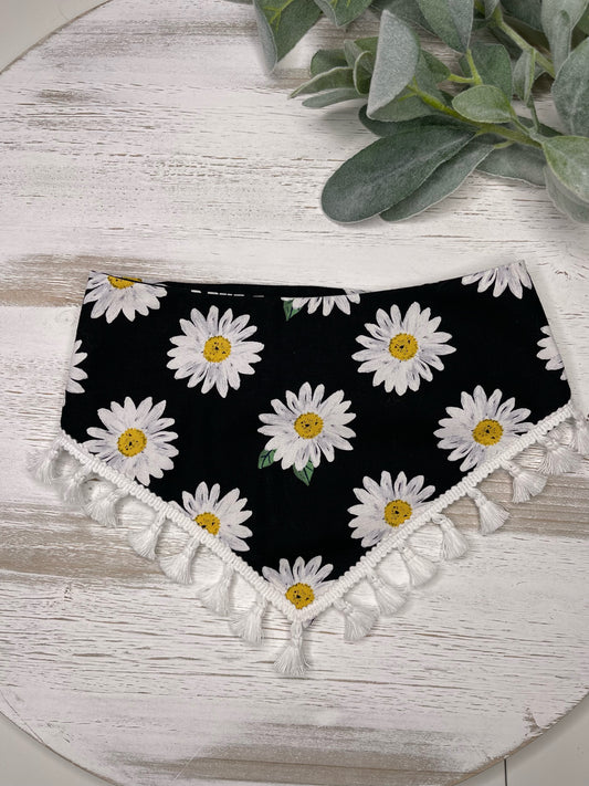 Fresh as a Daisy - (With White Trim)